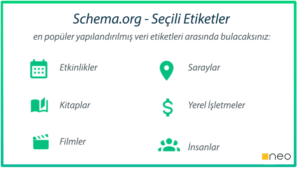 schema,schema org